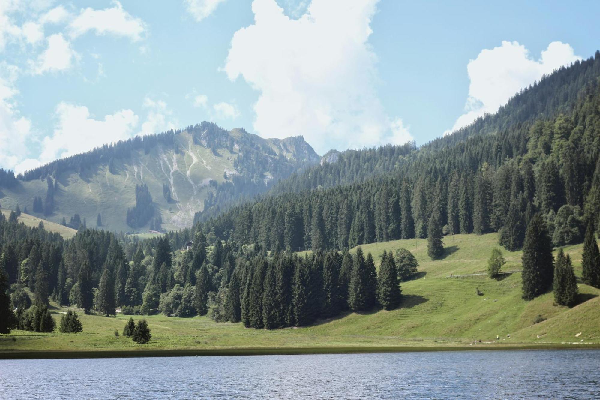 Ferienwohnung "Seeruhe" - Berge, See Und Natur Am Spitzingsee Schliersee Exterior foto